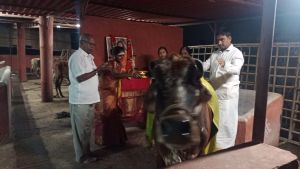 WhatsApp Image 2022-01-03 at 19.30.02.jpeg