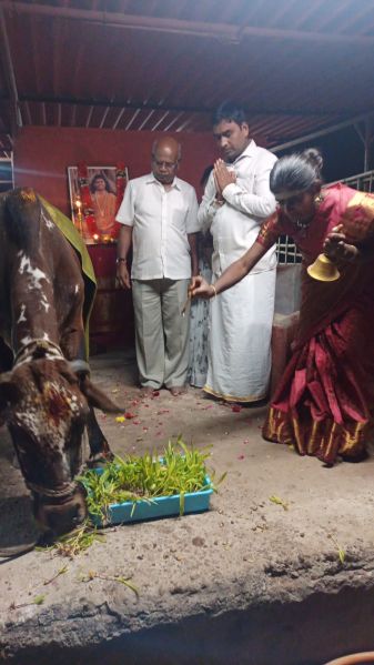 File:WhatsApp Image 2022-01-03 at 19.30.42.jpeg