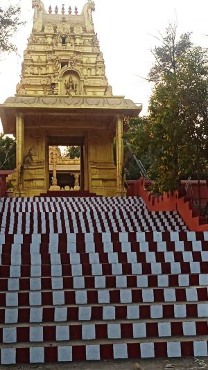 WhatsApp Image 2022-01-04 at 17.27.48.jpeg