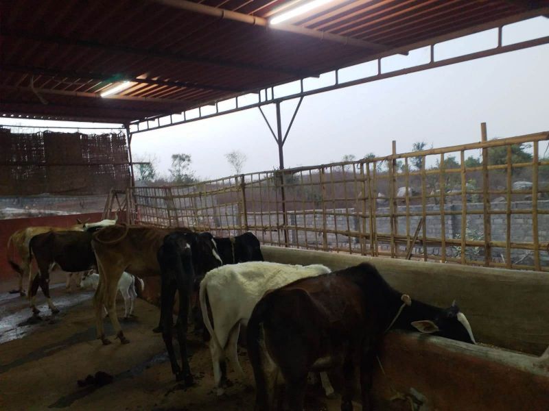 File:WhatsApp Image 2022-01-04 at 18.13.00.jpeg