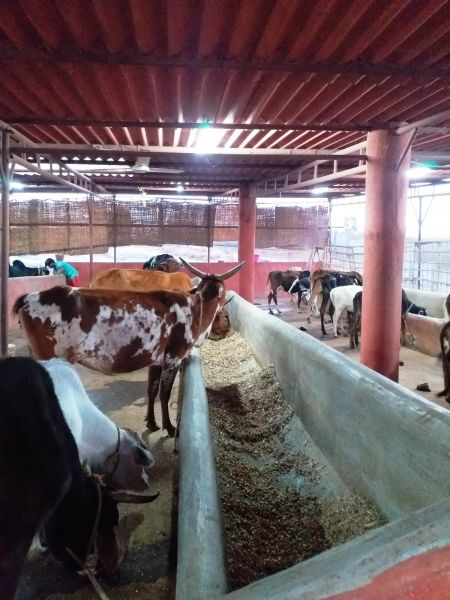 File:WhatsApp Image 2022-01-04 at 18.13.01 (1).jpeg