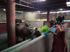 WhatsApp Image 2022-01-05 at 18.01.14.jpeg