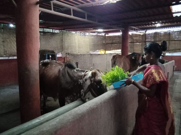 WhatsApp Image 2022-01-05 at 18.01.14.jpeg