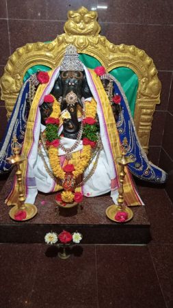 WhatsApp Image 2022-01-05 at 21.15.09.jpeg