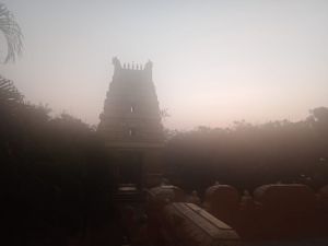 WhatsApp Image 2022-01-06 at 07.14.14.jpeg