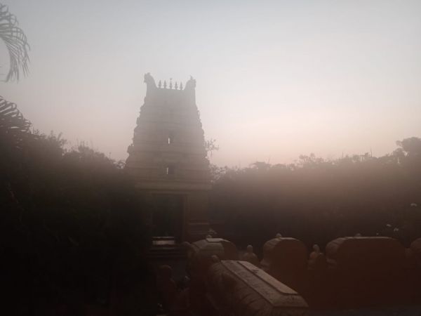 WhatsApp Image 2022-01-06 at 07.14.14.jpeg