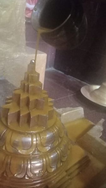 File:WhatsApp Image 2022-01-06 at 07.15.43 (1).jpeg