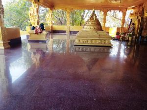 WhatsApp Image 2022-01-06 at 15.31.09.jpeg