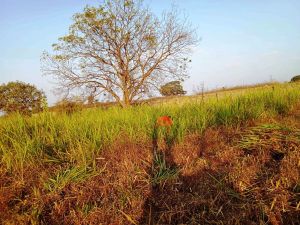 WhatsApp Image 2022-01-06 at 17.31.46 (1).jpeg