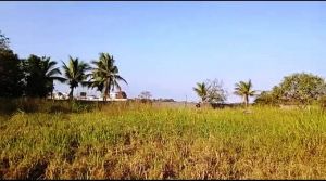 WhatsApp Image 2022-01-06 at 17.56.26 (4).jpeg