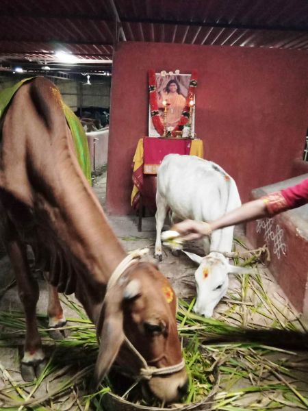 File:WhatsApp Image 2022-01-06 at 19.04.55 (1).jpeg