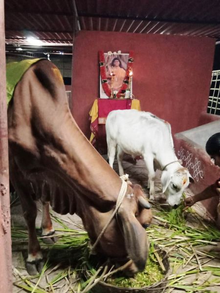 File:WhatsApp Image 2022-01-06 at 19.04.56.jpeg