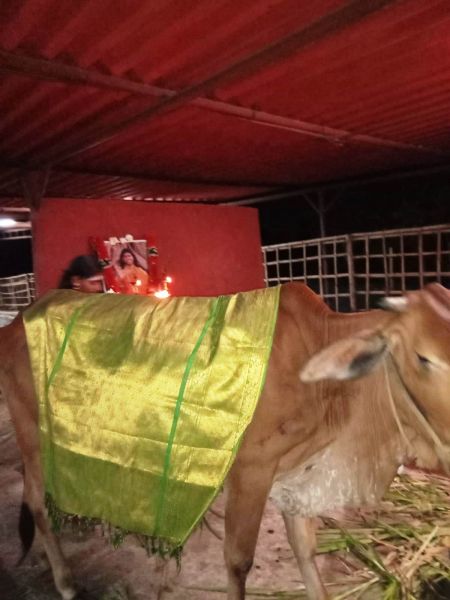 File:WhatsApp Image 2022-01-06 at 19.04.56 (1).jpeg