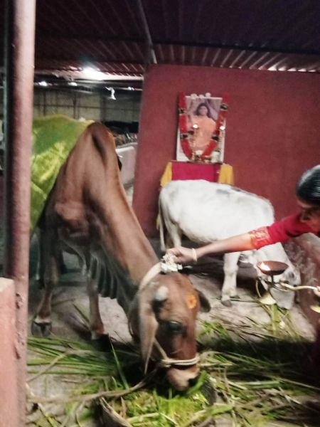 File:WhatsApp Image 2022-01-06 at 19.04.57.jpeg