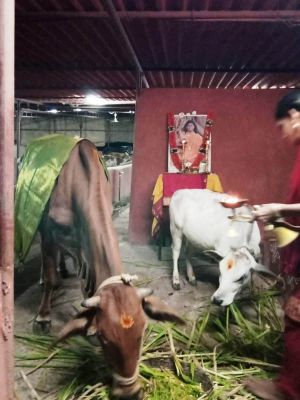 WhatsApp Image 2022-01-06 at 19.04.58.jpeg