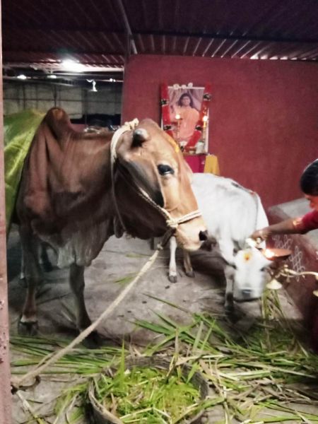 File:WhatsApp Image 2022-01-06 at 19.04.58 (1).jpeg