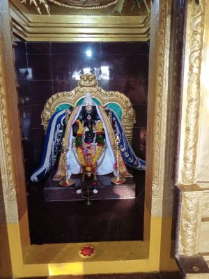 WhatsApp Image 2022-01-07 at 09.15.50 (1).jpeg