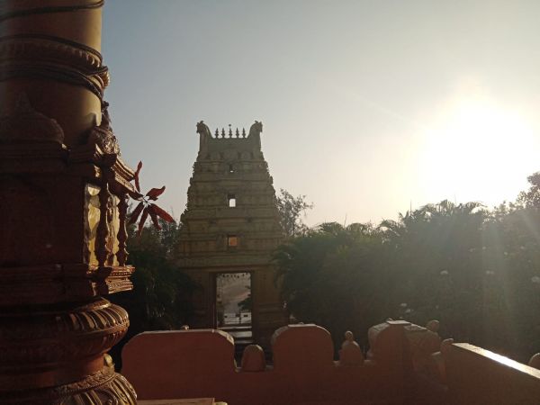 WhatsApp Image 2022-01-07 at 09.15.52.jpeg