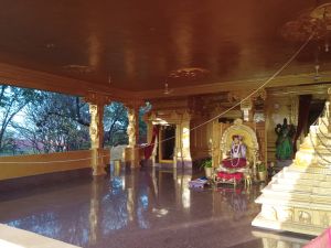 WhatsApp Image 2022-01-07 at 09.15.53.jpeg