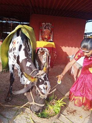 WhatsApp Image 2022-01-07 at 09.21.14 (1).jpeg