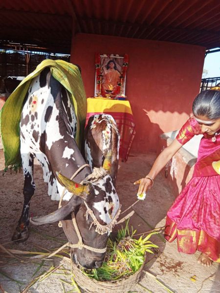 File:WhatsApp Image 2022-01-07 at 09.21.14 (1).jpeg