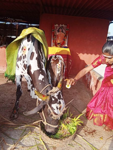 File:WhatsApp Image 2022-01-07 at 09.21.14 (2).jpeg