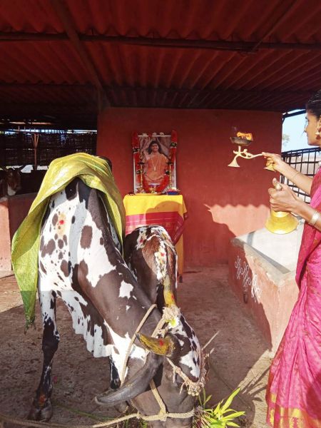 File:WhatsApp Image 2022-01-07 at 09.22.20.jpeg