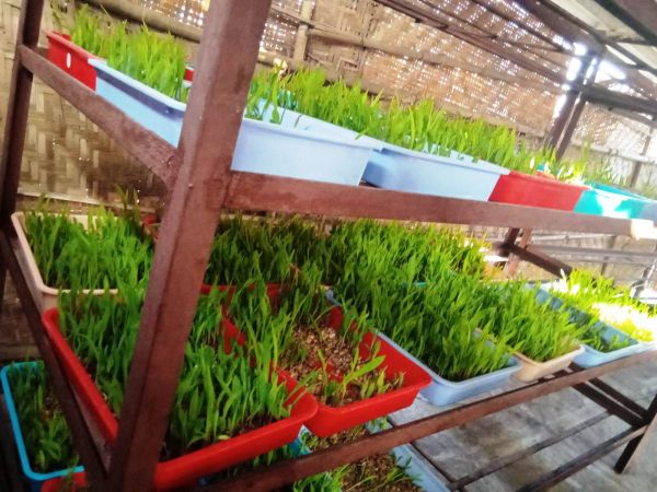 WhatsApp Image 2022-01-07 at 09.23.03 (1).jpeg