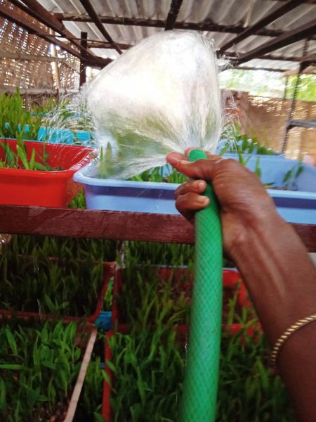 File:WhatsApp Image 2022-01-07 at 09.23.04.jpeg