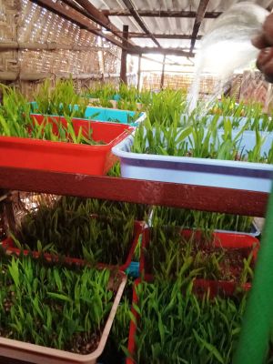 WhatsApp Image 2022-01-07 at 09.23.04 (1).jpeg