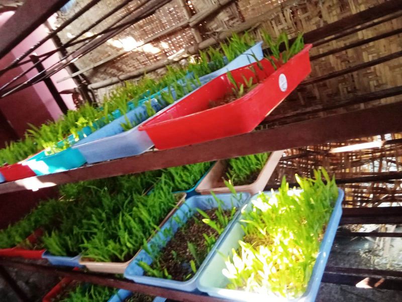 File:WhatsApp Image 2022-01-07 at 09.23.05.jpeg