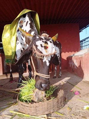 WhatsApp Image 2022-01-07 at 09.25.13.jpeg