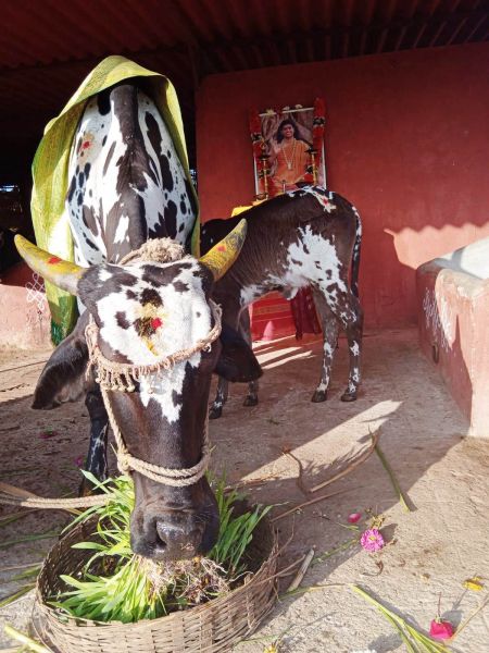 File:WhatsApp Image 2022-01-07 at 09.25.14.jpeg