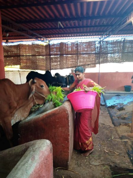 File:WhatsApp Image 2022-01-07 at 09.27.11.jpeg