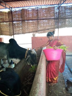 WhatsApp Image 2022-01-07 at 09.27.12.jpeg