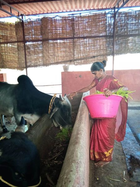 File:WhatsApp Image 2022-01-07 at 09.27.12.jpeg