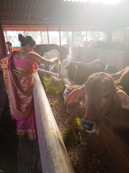 File:WhatsApp Image 2022-01-07 at 09.27.14.jpeg