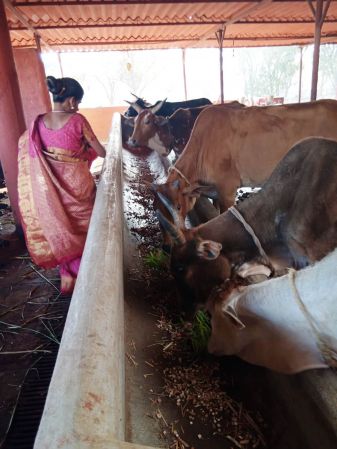 WhatsApp Image 2022-01-07 at 09.27.14 (2).jpeg