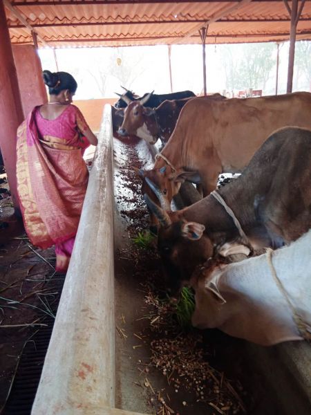 File:WhatsApp Image 2022-01-07 at 09.27.14 (2).jpeg