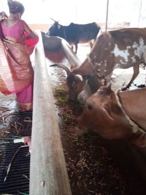 WhatsApp Image 2022-01-07 at 09.27.15.jpeg