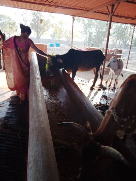 File:WhatsApp Image 2022-01-07 at 09.27.16.jpeg