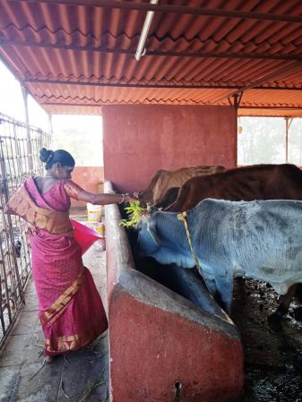 WhatsApp Image 2022-01-07 at 09.27.16 (1).jpeg