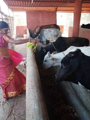 WhatsApp Image 2022-01-07 at 09.27.17.jpeg