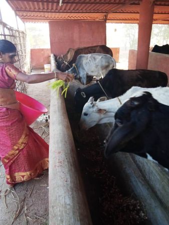 WhatsApp Image 2022-01-07 at 09.27.17.jpeg