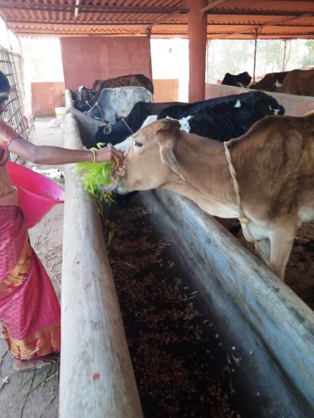 File:WhatsApp Image 2022-01-07 at 09.27.17 (1).jpeg