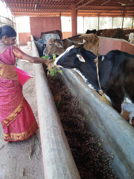 File:WhatsApp Image 2022-01-07 at 09.27.18.jpeg