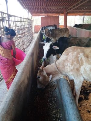 WhatsApp Image 2022-01-07 at 09.27.18 (1).jpeg