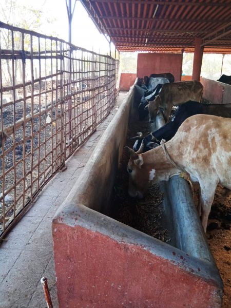 File:WhatsApp Image 2022-01-07 at 09.27.19.jpeg