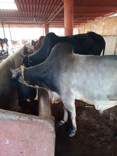 File:WhatsApp Image 2022-01-07 at 09.27.20.jpeg