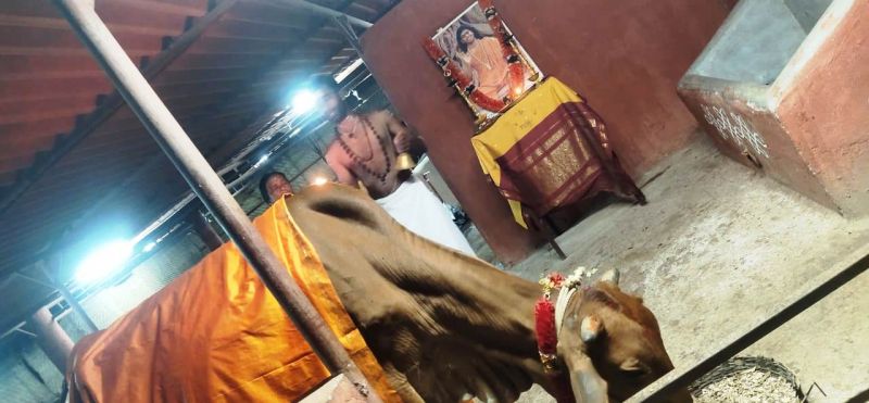 File:WhatsApp Image 2022-01-08 at 18.26.23 (2).jpeg